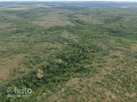 Foto 2 de 4: Area Rural em leilão em Serranópolis - GO — SERRANOPOLIS/GO - FAZENDA COM 8 ALQUEIRES