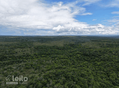 Foto 1 de 4: Area Rural em leilão em Serranópolis - GO — SERRANOPOLIS/GO - FAZENDA COM 8 ALQUEIRES
