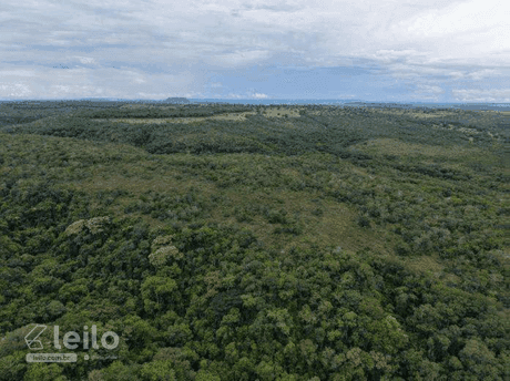 Foto 4 de 4: Area Rural em leilão em Serranópolis - GO — SERRANOPOLIS/GO - FAZENDA COM 8 ALQUEIRES