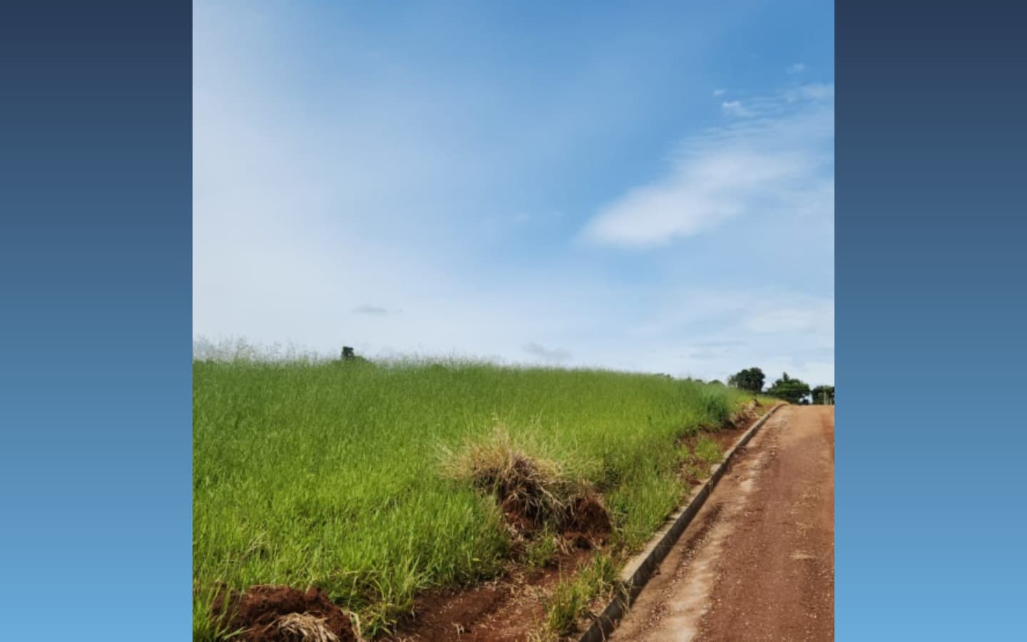 Foto 1 de 5: Terreno em leilão em São Sebastião Da Bela Vista - MG, bairro Vale do Sol — Terreno de 1.000m² — São Sebastião da Bela Vista/MG