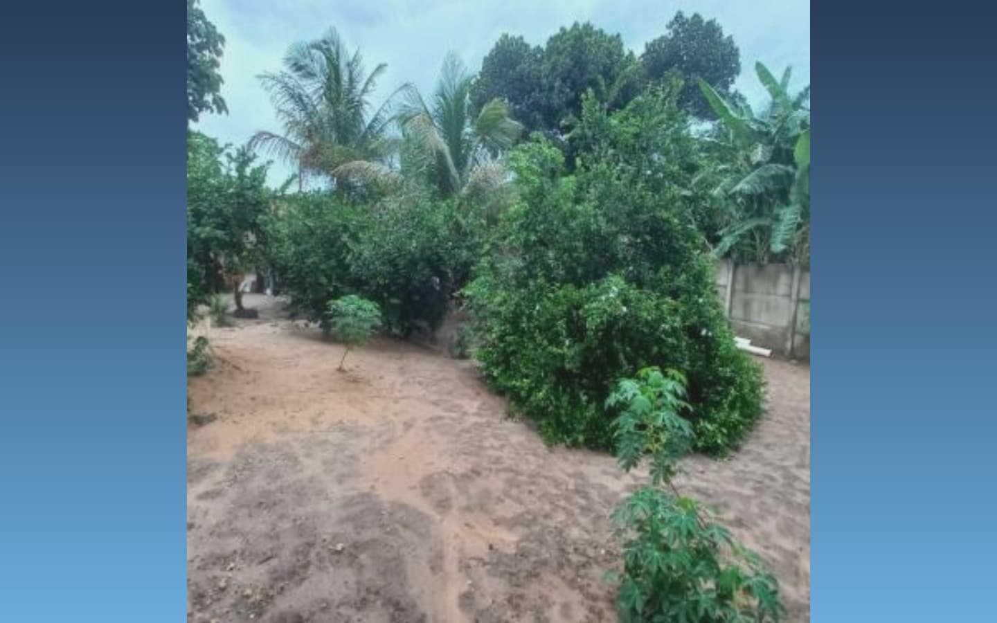 Foto 15 de 15: Casa em leilão em Tesouro - MT, bairro Marginal do Cassununga — Casa 192m² - Tesouro/MT