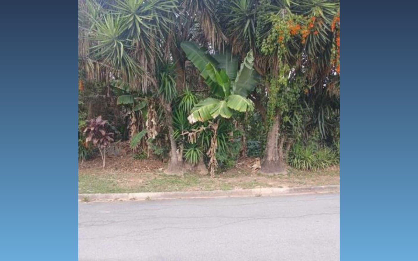 Foto 2 de 3: Terreno em leilão em Cotia - SP, bairro Moinho Velho — Terreno 2.543m² - Cotia/SP