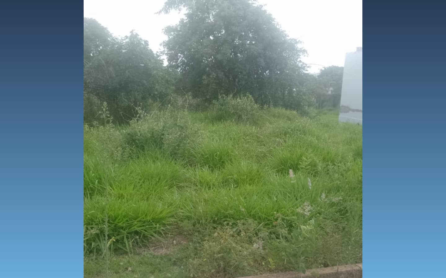 Foto 2 de 3: Terreno em leilão em Formiga - MG, bairro Pontevilla — Terreno 480m² — Formiga/MG