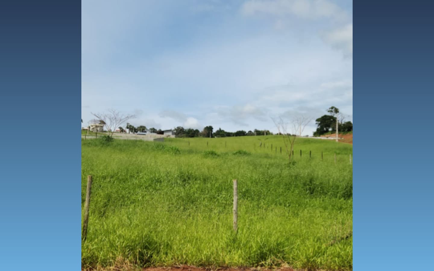 Foto 4 de 5: Terreno em leilão em São Sebastião Da Bela Vista - MG, bairro Vale do Sol — Terreno de 1.000m² — São Sebastião da Bela Vista/MG