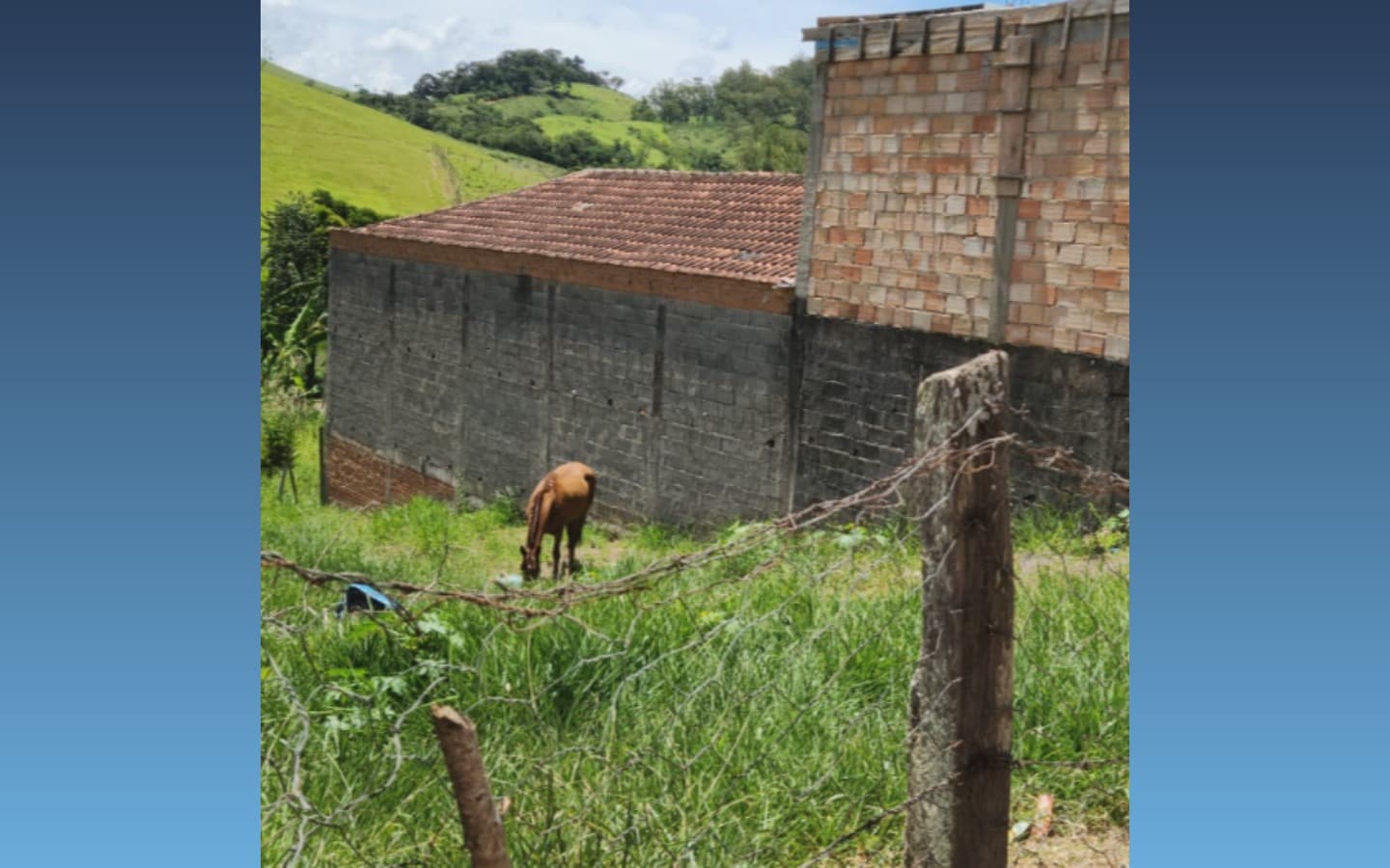 Foto 5 de 6: Terreno em leilão em Consolação - MG — Terreno de 618m² — Consolação/MG
