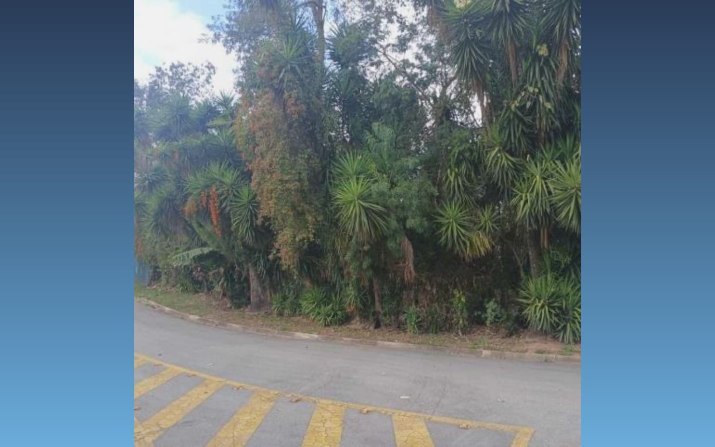 Foto 1 de 3: Terreno em leilão em Cotia - SP, bairro Moinho Velho — Terreno 2.543m² - Cotia/SP