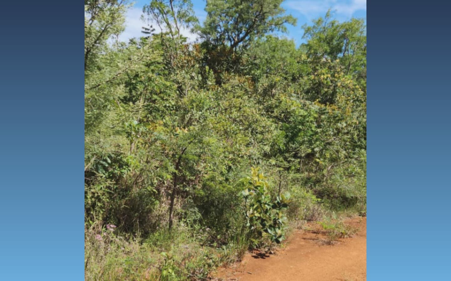 Foto 2 de 2: Terreno em leilão em Boa Esperança - MG, bairro Jardim Nova Esperança — Terreno de 560m² — Boa Esperança/MG