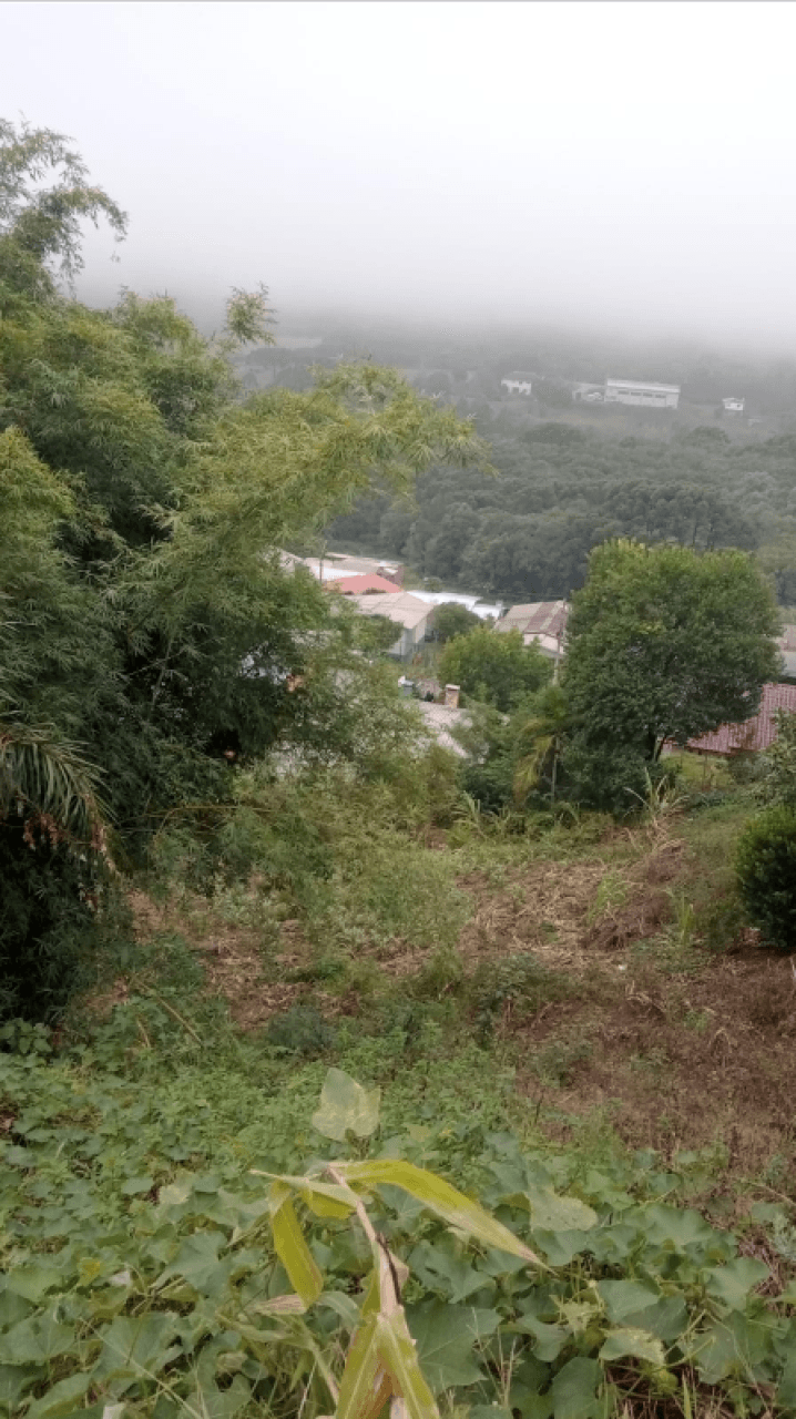 Foto 3 de 5: Terreno em leilão em Farroupilha - RS, bairro Monte Pasqual — 01 (UM) LOTE URBANO Nº 10, DA QUADRA Nº 1.019 630M² B/MONTE PASCUAL/ FARROUPILHA/RS