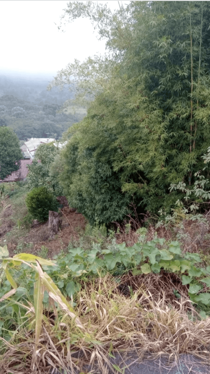Foto 4 de 5: Terreno em leilão em Farroupilha - RS, bairro Monte Pasqual — 01 (UM) LOTE URBANO Nº 10, DA QUADRA Nº 1.019 630M² B/MONTE PASCUAL/ FARROUPILHA/RS