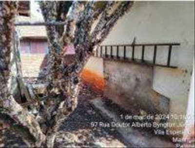 Foto 10 de 16: Area Rural em leilão em Maringá - PR — Imóvel urbano com área de 618,75m² e benfeitorias. Localizado na Rua Doutor Alberto Byington Junior, n°105, Vila Esperança, Maringá/PR.
