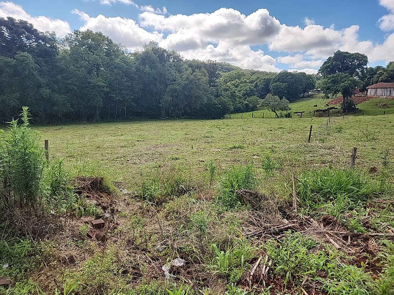 Foto 1 de 4: Terreno em leilão em Dois Vizinhos - PR — LOTE URBANO Nº 01 DA QUADRA Nº 06 LOCALIZADO NO LOTEAMENTO VALE DO COUNTRY EM DOIS VIZINHOS/PR - ÁREA DE 2.850,00M²