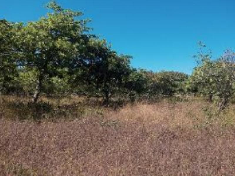 Foto 3 de 5: Terreno em leilão em Pacajus - CE, bairro Loteamento Cidade Oeste — Lote, Pacajus / CE