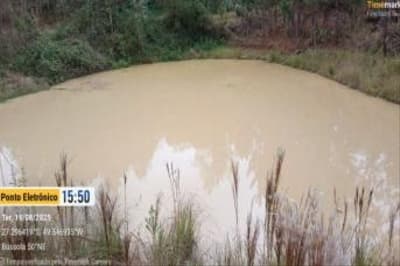Foto 8 de 51: Terreno em leilão em Aurora - SC, bairro Área Rural — IMÓVEL RURAL COM ÁREA TOTAL DE 11,516 ha- Em AURORA/SC