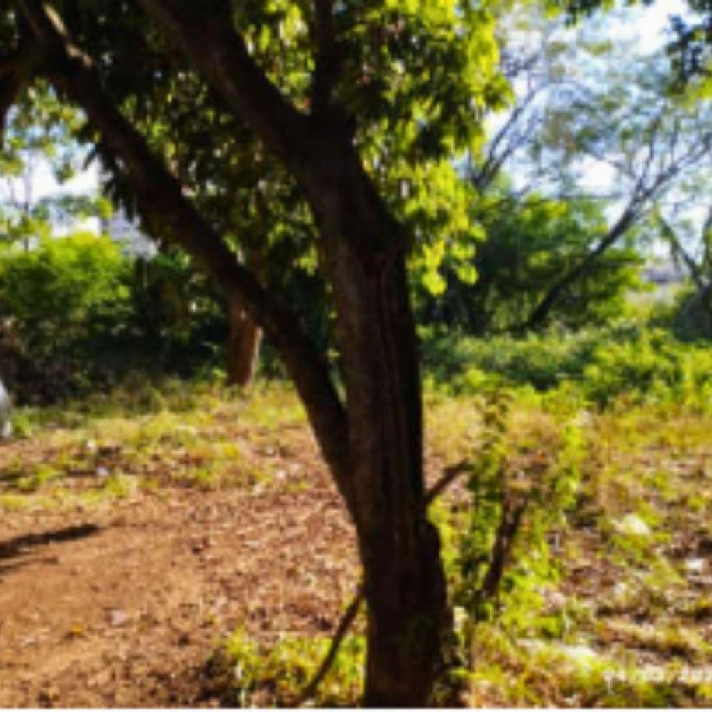 Foto 7 de 9: Terreno em leilão em Foz Do Iguaçu - PR — IMÓVEL URBANO COM ÁREA TOTAL DE 450,00m2- Em FOZ DO IGUAÇU/PR