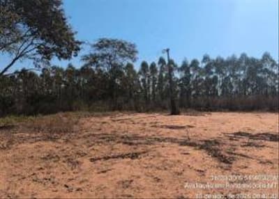 Foto 15 de 58: Area Rural em leilão em Rondonópolis - MT — GLEBA COMERCIAL ÀS MARGENS DA BR-163 RONDONÓPOLIS/MT - VENDA CONJUNTA DE DUAS MATRÍCULAS