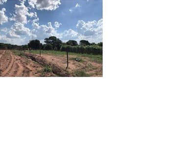 Area Rural em leilão em Severínia - SP — ÁREA RURAL - 26,16 hectares - SITIO IBIUNA na FAZENDA IBIUNA localizado no município de Severínia/SP