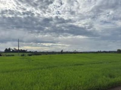 Foto 1 de 7: Area Rural em leilão em São Miguel Do Guaporé - RO — IMÓVEL RURAL PARA AGRICULTURA AT. 24,7549HA, SÍTIO ESPERANÇA EM SÃO MIGUEL DO GUAPORÉ-RO