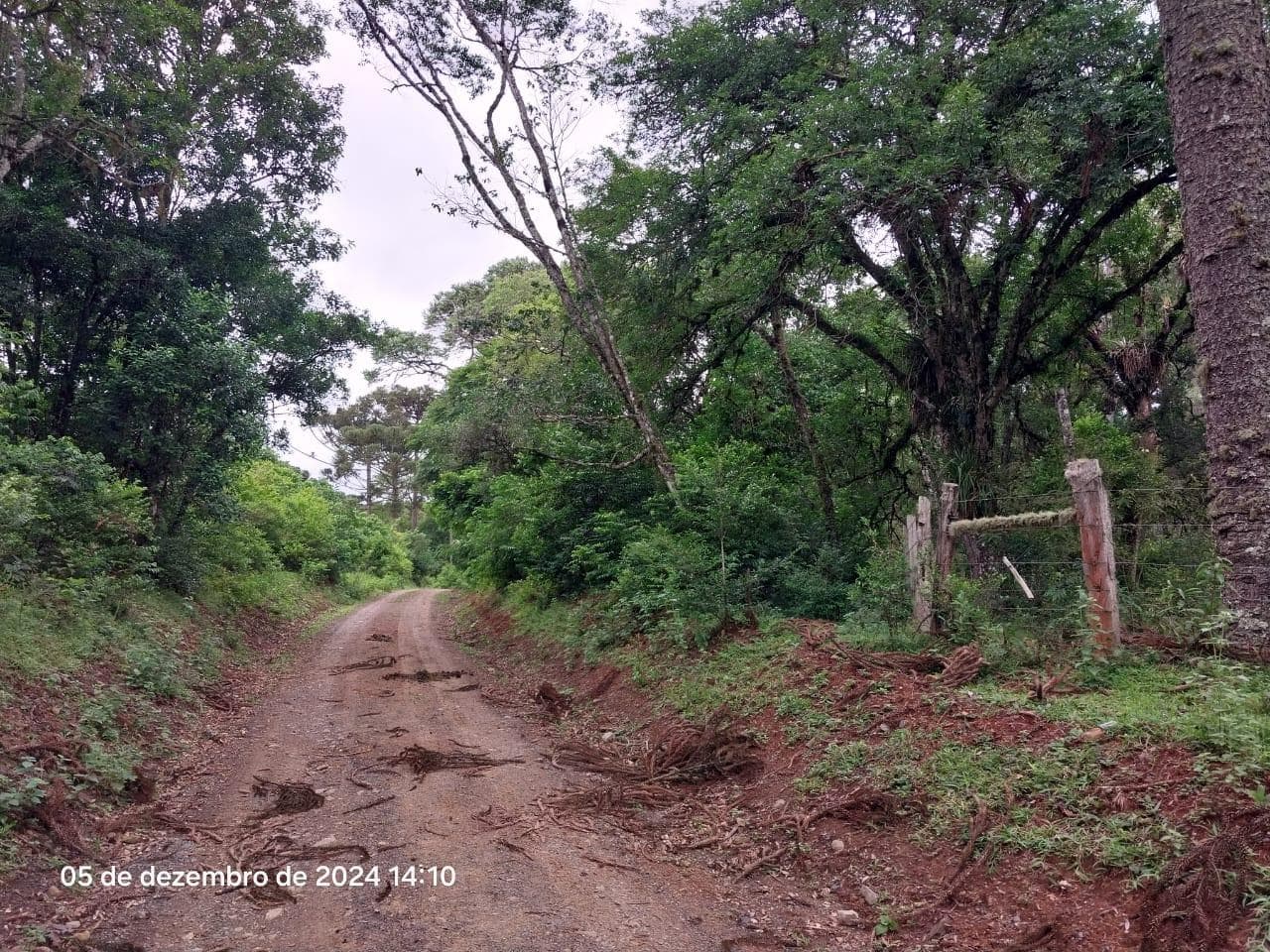 Foto 6 de 17: Terreno em leilão em Lapa - PR — Terreno rural, com área de 36.300,00m², Lapa/PR
