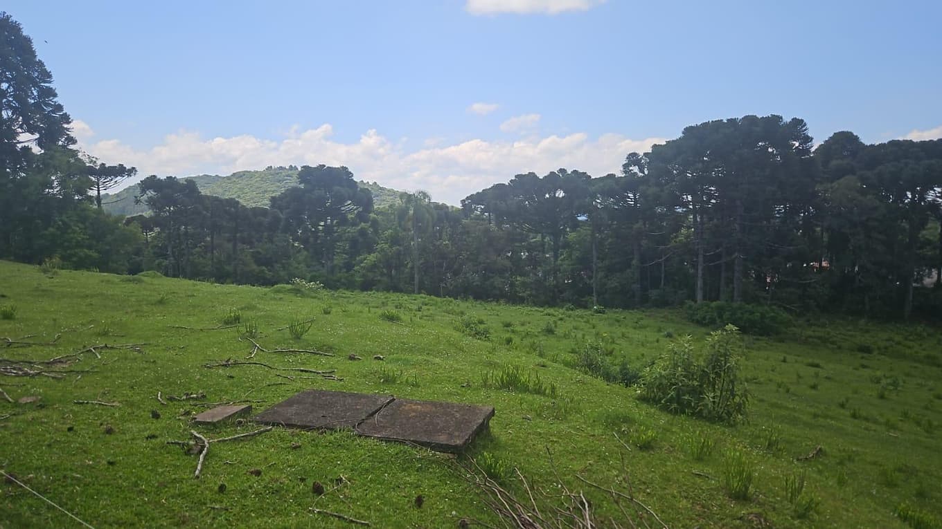 Foto 16 de 18: Comercial em leilão em Nova Petrópolis - RS — COMPLEXO INDUSTRIAL EM NOVA PETRÓPOLIS RS