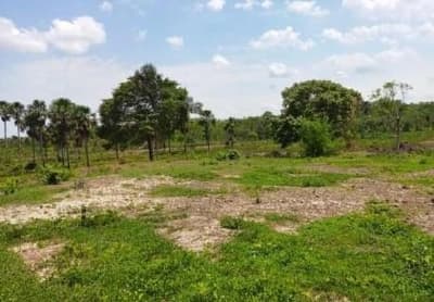 Area Rural em leilão em Centenário - TO — IMÓVEL RURAL FAZENDA BOM SOSSEGO COM 316,4507 HA EM CENTENÁRIO - TO
