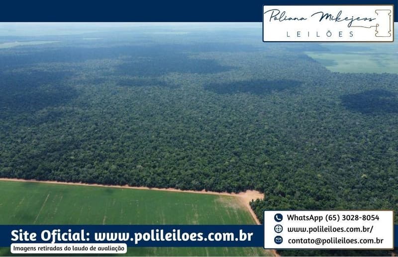 Foto 4 de 6: Area Rural em leilão em Vera - MT — Área Rural, 500ha, Fazenda Bom Retiro II, Gleba Atlântica com a Gleba Capen, no Município de Vera/MT