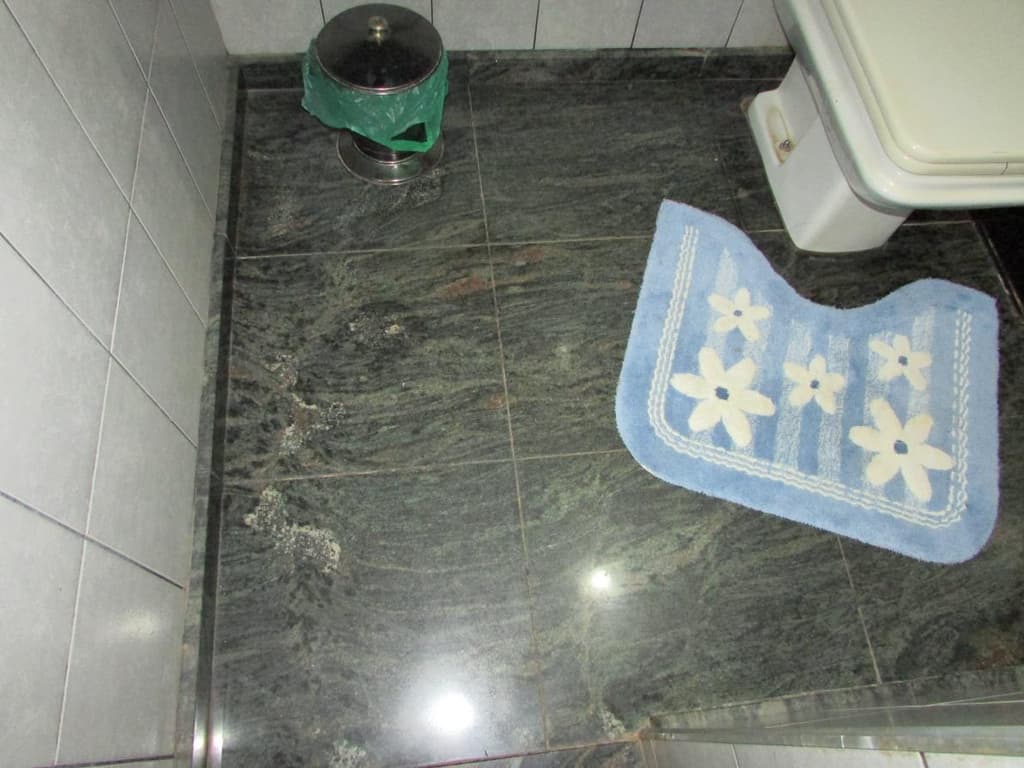 Foto 10 de 18: Casa em leilão em Barretos - SP, bairro Bela Vista — Casa, A.T. 242m², A.C. 154m², Celina
