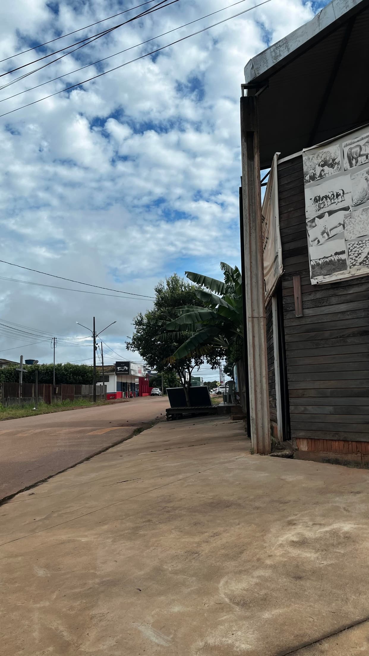 Foto 7 de 7: Comercial em leilão em Aripuanã - MT, bairro Cidade Alta — IMÓVEL COMERCIAL/RESIDENCIAL | A.T. 437,50m² E A.C 176m² | ARIPUANÃ MT