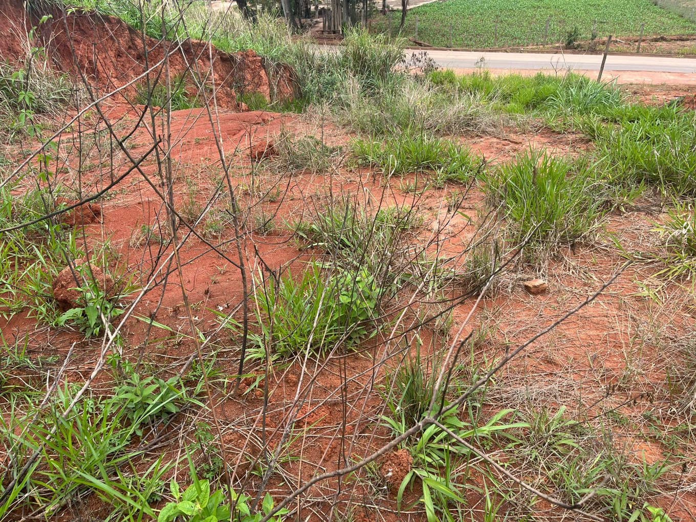 Foto 4 de 6: Terreno em leilão em Canaã - MG, bairro Centro — IMÓVEL URBANO COM ÁREA TOTAL DE 295,12 M2 EM CANAÃ-MG