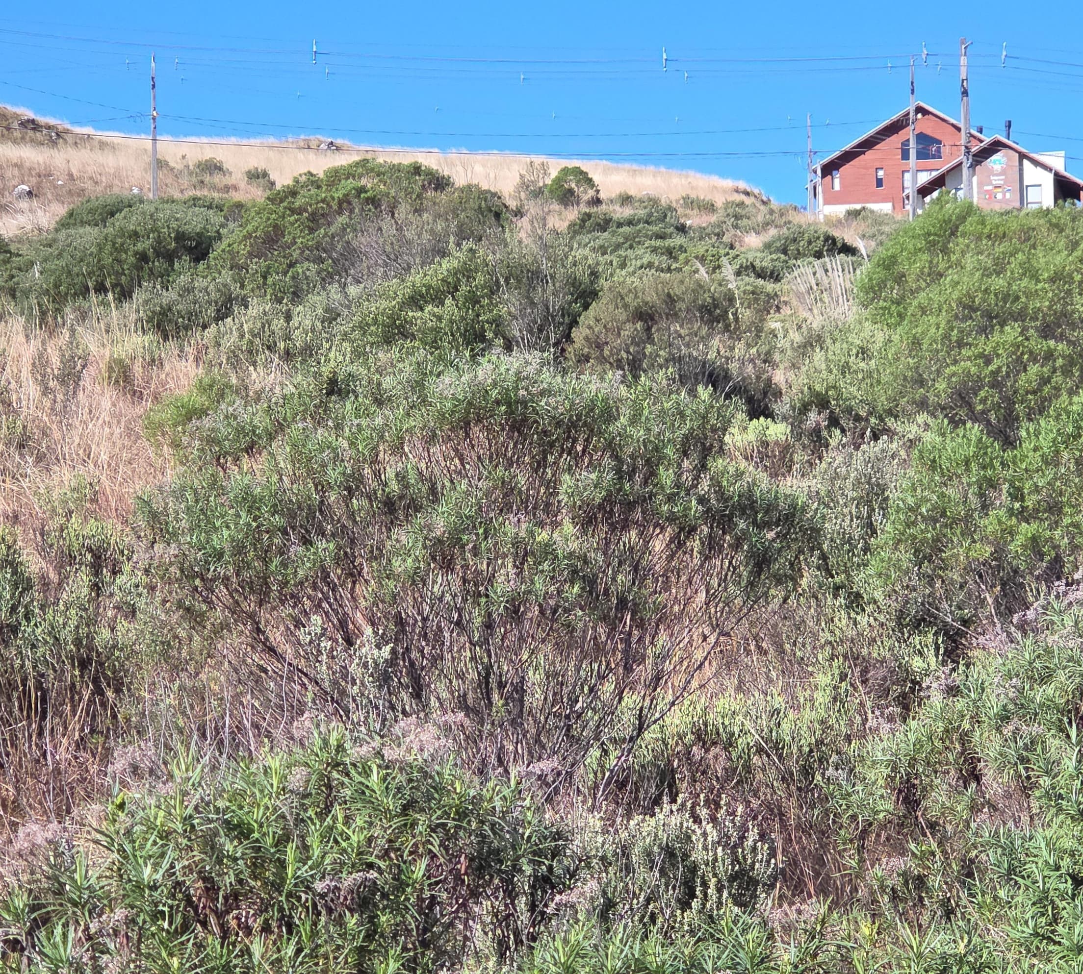 Foto 5 de 6: Terreno em leilão em Bom Jardim Da Serra - SC — LOTE URBANO Nº 26 DA QUADRA Nº 07 LOCALIZADO NO CONDOMÍNIO ALTOS DA SERRA EM BOM JARDIM DA SERRA/SC - ÁREA PRIVATIVA DE 1.860,40M²