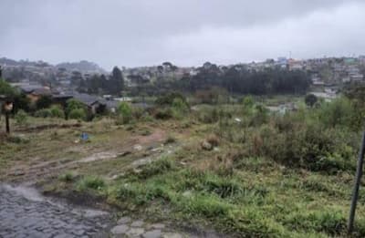 Foto 4 de 10: Terreno em leilão em Santa Cecília - SC — (Parte ideal) Terreno, A.T. 8.636,00m², diferencial, Bairro Fazenda Ouveiro