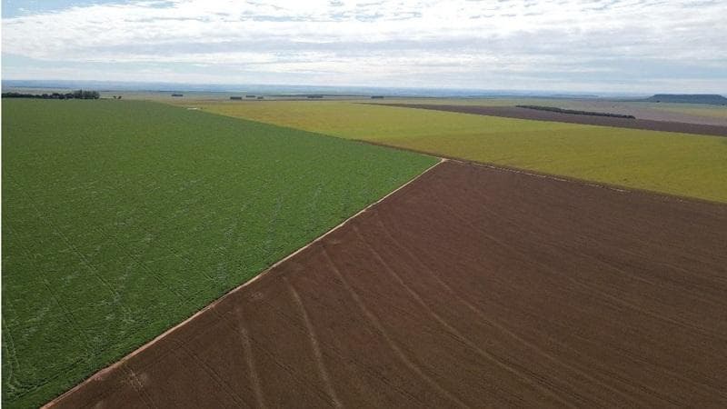 Foto 22 de 30: Area Rural em leilão em Paraíso Das Águas - MS — IMÓVEL RURAL | 400 HA (FRAÇÃO IDEAL) - FAZ. LOTE BAÚS PERDIDO I SECÇÃO B | PLANTIO PARA SOJA E MILHO | PARAÍSO DAS ÁGUAS/MS