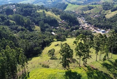 Foto 5 de 6: Area Rural em leilão em Mato Rico - PR — IMÓVEL RURAL COM ÁREA DE 2,7510 hectares EM MATO RICO-PR