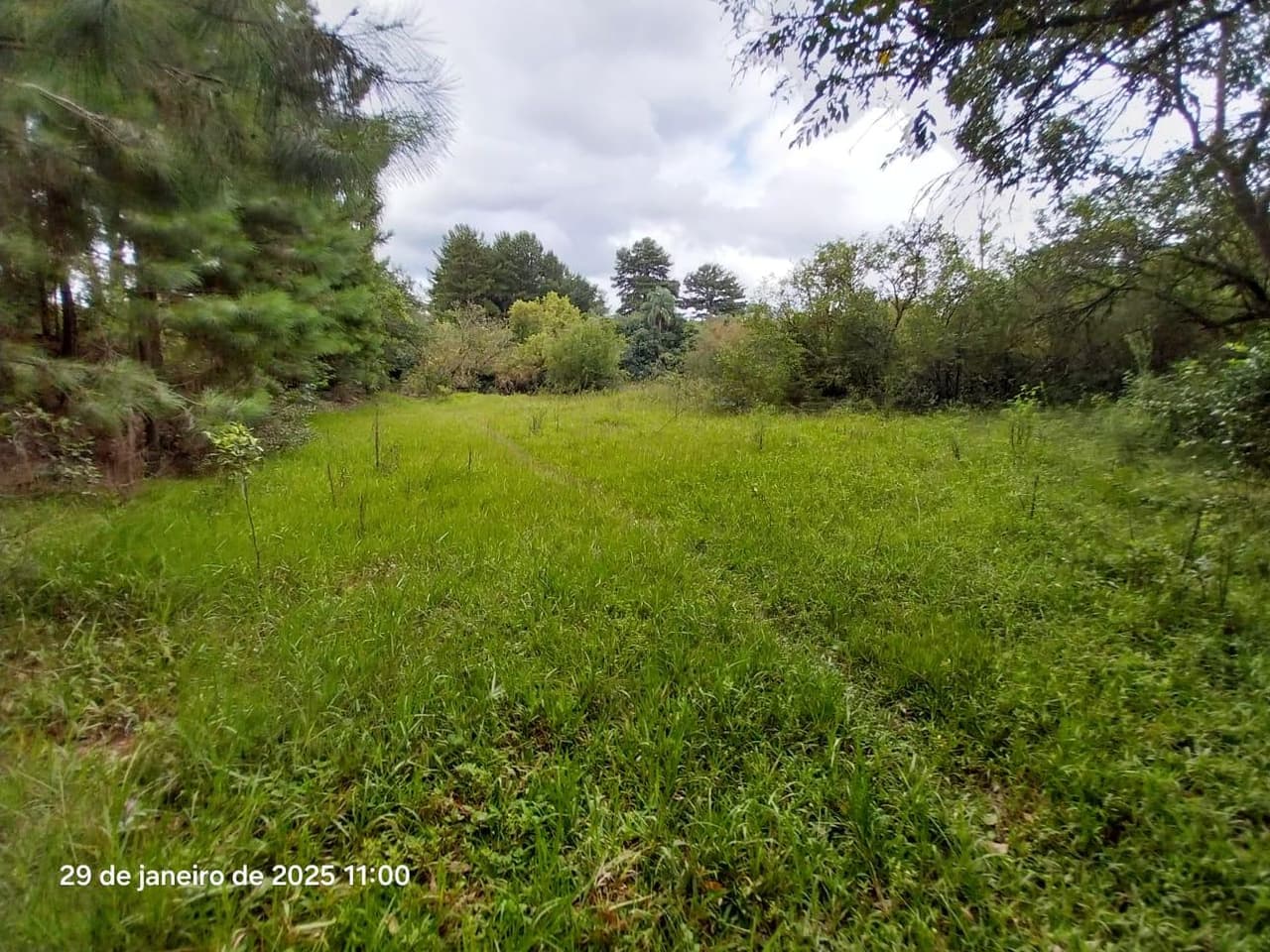Foto 7 de 16: Terreno em leilão em Ponta Grossa - PR, bairro Colônia Dona Luiza — Terreno urbano, com área de terreno total de 10.260,00m², Ponta Grossa/PR