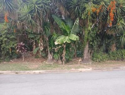 Foto 2 de 2: Terreno em leilão em Cotia - SP, bairro Moinho Velho — Terreno 2.543m² em Cotia/SP