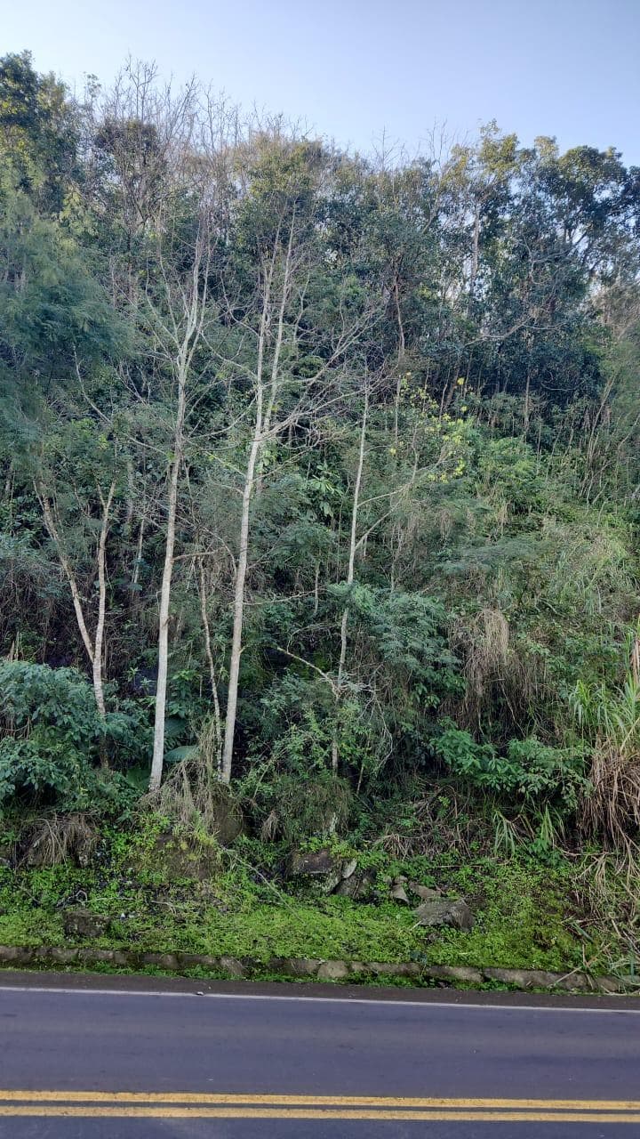 Foto 2 de 10: Terreno em leilão em Mondaí - SC — LOTE URBANO Nº 06 LOCALIZADO NA AVENIDA LAJU NO MUNICÍPIO DE MONDAÍ/SC - ÁREA DE 2.000M²