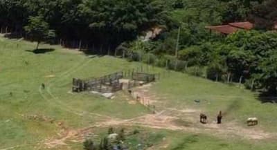 Foto 4 de 15: Area Rural em leilão em Marília - SP — Imóvel Rural com 10,2220 hectares, contendo hotel com 6.214m² e demais benfeitorias