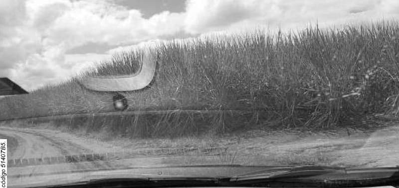 Foto 3 de 10: Area Rural em leilão em Porto Calvo - AL — IMÓVEL RURAL OBJETO DA MATRÍCULA 1.947 DO CARTÓRIO DE REGISTRO DE IMÓVEIS DA COMARCA PORTO CALVO/AL