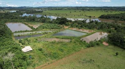 Foto 2 de 7: Area Rural em leilão em Alta Floresta D'oeste - RO — IMÓVEL RURAL COM 11,6614HA, SETOR PARECIS EM ALTA FLORESTA D'OESTE/RO.