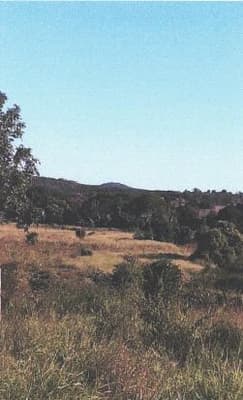 Area Rural em leilão em Manga - MG — IMÓVEL RURAL COM ÁREA TOTAL DE 25 HECTARES, EM MANGA-MG, AVALIADO EM R$420.000,00