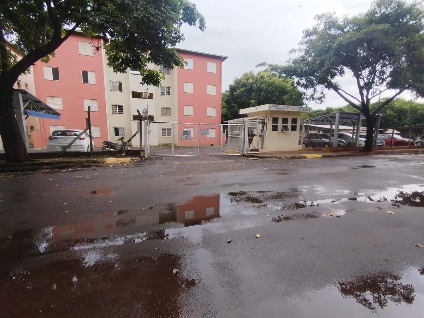 Foto 5 de 12: Apartamento em leilão em Araraquara - SP — Apartamento, Ocupado, Araraquara / SP (50% abaixo da avaliação)