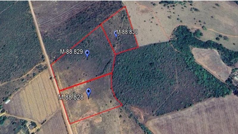 Foto 10 de 10: Area Rural em leilão em Anápolis - GO — IMÓVEL RURAL | A.T. 7,575 HA | FAZENDA SOBRADINHO | ANÁPOLIS/GO