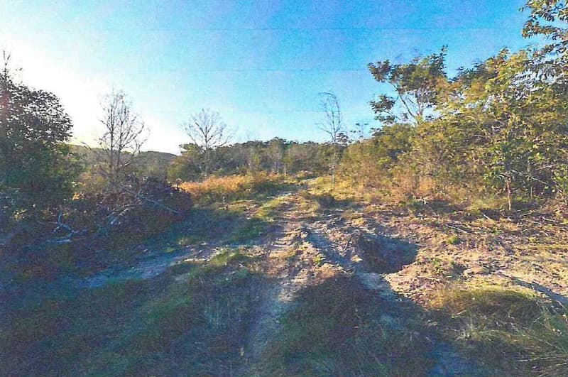 Foto 4 de 7: Area Rural em leilão em Serranópolis - GO — IMÓVEL RURAL - A.T 38,72 HA - SERRANÓPOLIS/GO