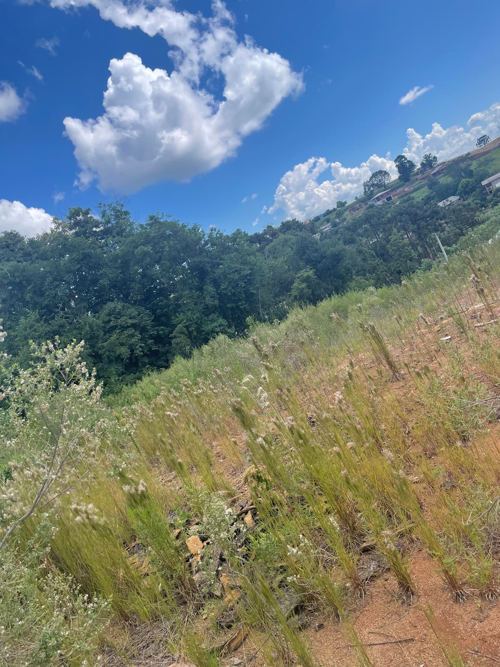 Foto 2 de 4: Terreno em leilão em Sananduva - RS — IMÓVEL COM ÁREA TOTAL DE 1.182,40m2, EM SANANDUVA-RS