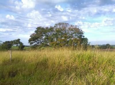 Foto 1 de 3: Terreno em leilão em Umuarama - PR — Terreno urbano com área de 432,00 m², sem benfeitorias, localizado na Rua São Paulo, 232, Distritos Serra Dos Dourados, Umuarama/PR.