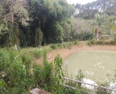 Foto 15 de 26: Area Rural em leilão em São João Do Triunfo - PR — IMÓVEL RURAL COM EXTENSÃO URBANA - ÁREA TOTAL DE 60.726,43 m²-AVENIDA DAS ARAUCÁRIAS-LADEIRA- SÃO JOÃO DO TRIUNFO-PR