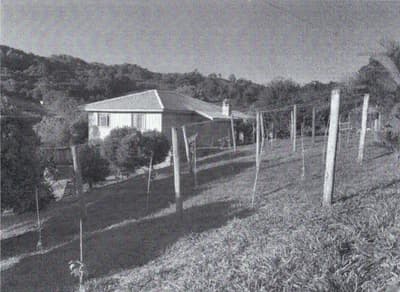 Foto 9 de 17: Area Rural em leilão em Videira - SC — IMÓVEL RURAL COM ÁREA TOTAL DE 40.194,49M2 EM VIDEIRA-SC