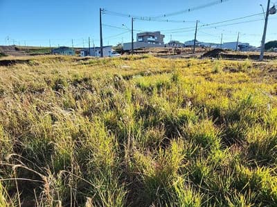 Foto 5 de 6: Terreno em leilão em São Lourenço Do Oeste - SC, bairro São Francisco — LOTE URBANO Nº 12 LOCALIZADO NA RUA COMERCILDO MOSCHEN, BAIRRO SÃO FRANCISCO, EM SÃO LOURENÇO DO OESTE/SC ¿ ÁREA DE 360,89M²