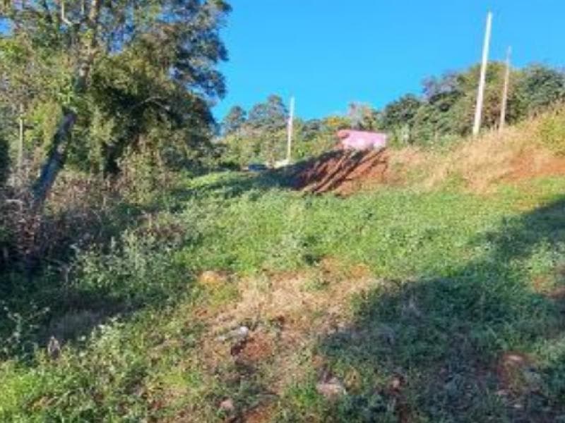 Foto 7 de 8: Terreno em leilão em Cordilheira Alta - SC, bairro Interior — Lote, 300.0 m2, Cordilheira Alta / SC