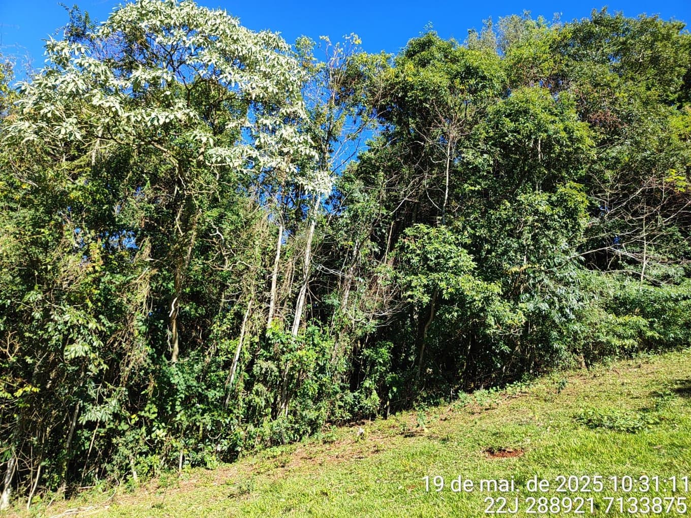 Foto 2 de 9: Area Rural em leilão em Francisco Beltrão - PR — Fração ideal de 7.250m², correspondente a 25% do imóvel: LOTE RURAL, Francisco Beltrão/PR
