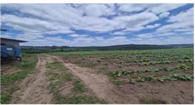 Foto 5 de 8: Terreno em leilão em São João Do Triunfo - PR — Terreno rural com área de 537.240,00m² , contendo 02 casa e dois galpões, situado na Localidade de Pinhalzinho, São João do Triunfo/PR